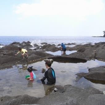 琴ヶ浜