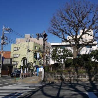 ・中山道を歩く(１)　東京-<日本橋>-<板橋宿>-戸田公園