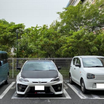 思いがけず？晴れた午前中は・・・