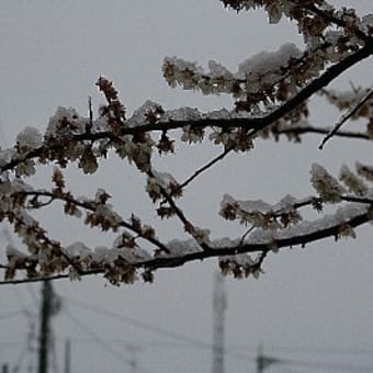 逆戻り・・