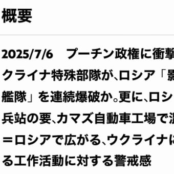 とらぷぅ💥情報7/6 ウ軍大空襲戦果検証中👍