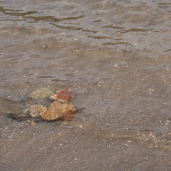 初秋の「湯の湖」