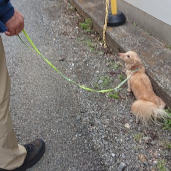 術後3日目