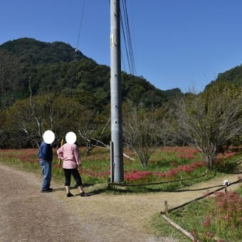 アップが遅れましたが、お休みネタで、、、