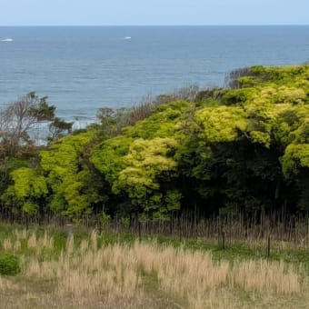 2ヶ月ぶり?プールと露天風呂