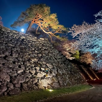 懐古園　夜桜満月　9