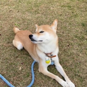 休日のルーチン