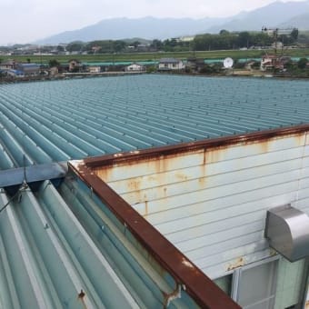 某工場屋根塗り替え工事