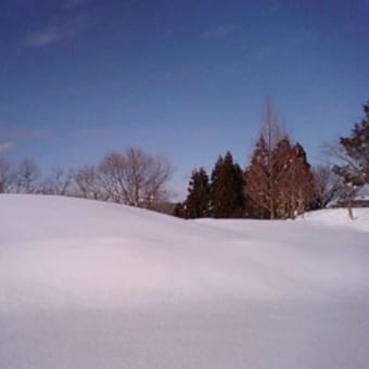 ２月２４日　子どもの気持ちが分かると育児が変わる！　にじの森のろっこ式「育児の寺子屋ワークショップ」