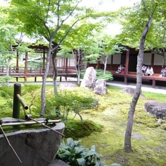 2011年6月18日(土)　建仁寺