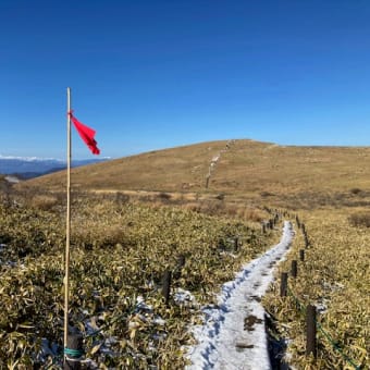 車山湿原の天然記念物エリアに積雪時用の竹竿を立てながら雪道歩きの感触を楽しむ。