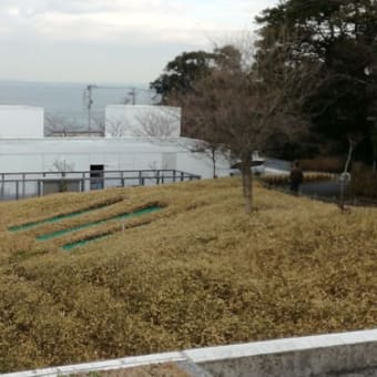 三浦半島「横須賀美術館」
