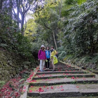 第１回ハイキング2025（石清水八幡宮、背割り堤お花見ハイキング）