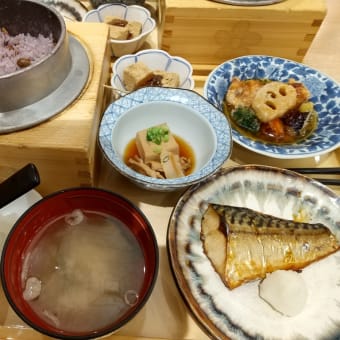 ５月スタートです～🎶