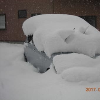 今年2度目の大雪