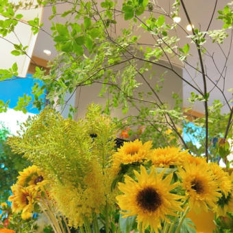 久しぶりにお洒落な切り花専門店へ🌼
