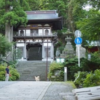 朝散歩　大山寺へ