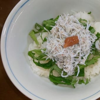 しらすとちりめんモンスター
