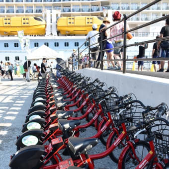 クァンタム・オブ・ザ・シーズ！広島初入港！！