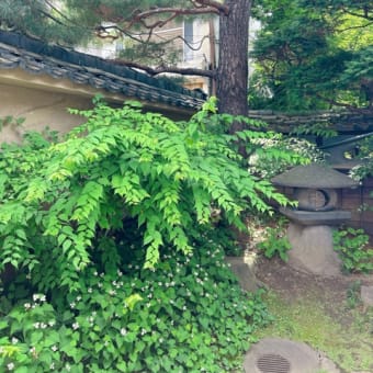 夢ハーベスト農場でラベンダー摘み＆山吹味噌へ