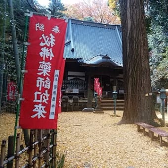 【参拝日記】武蔵御嶽神社。その6「野津田神社」「野津田薬師堂」〜行基の「東国鎮護」の祈り〜