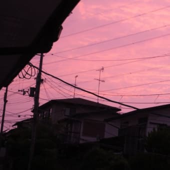 夕映えに梅雨入り間じかを感じる
