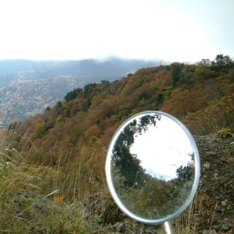 行ってきました。