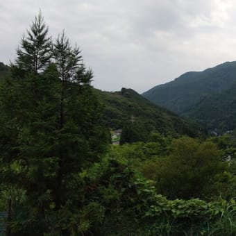 令和7年7月8日・今朝の東祖谷22℃（21.5℃）