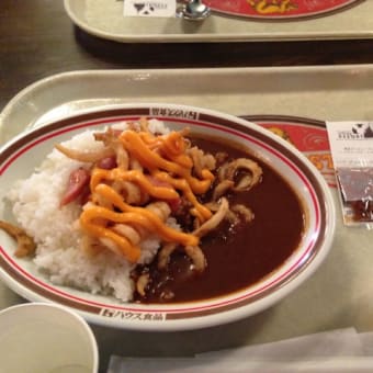 ディズニーランドに行ってきました！