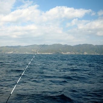 ウメイロ 船釣り