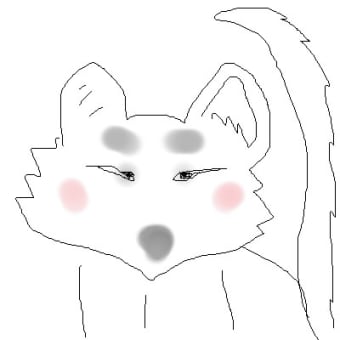 白狐の顔