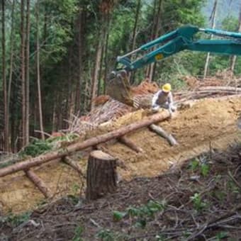 低コスト作業路現地検討会に多数の方が集まりました