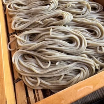 湯沢二日目