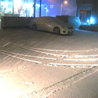 初雪観測から三日目の積雪