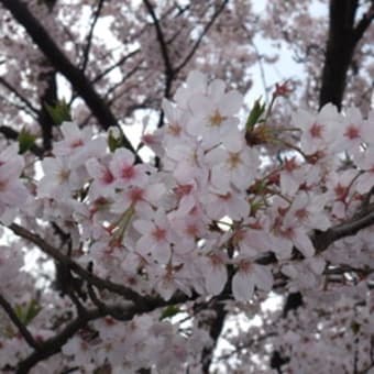雨降って・・・