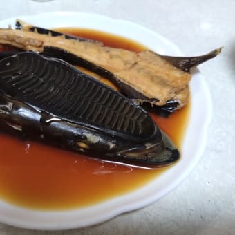 コバンザメ
