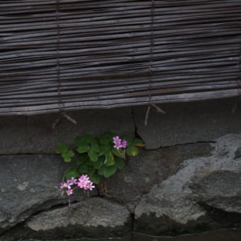 五個荘の町