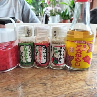 春休み沖縄の旅~首里城と斎場御嶽~