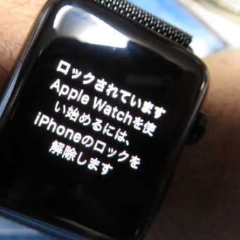 近畿地方に「春一番」