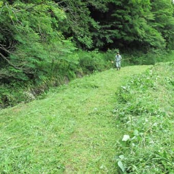 畑の棚田で草刈