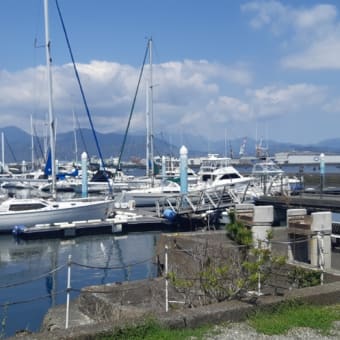 ‼️6月出撃募集中です❗キハダ、カツオ、トンボ、ジギング、カジキ、マグロ泳がせチャーター乗り合い募集してます。予約☎️0558-62-3737📲