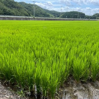 長崎離島旅　25-26日目　宗像大社など　そして旅の終わり。