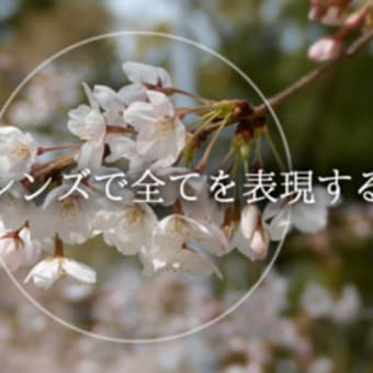 視覚　/　東海光学㈱