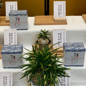懸賞指定品種と一般懸賞品目の受賞作品　日本富貴蘭会美術品評全国大会（和歌山）