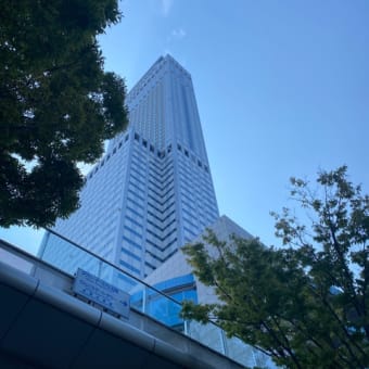 おはようございます