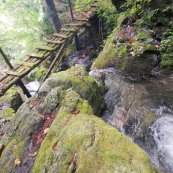 山の記憶～白露の山に咲く花～ 