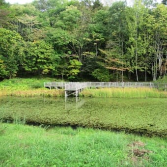 上信越山旅　2018秋　　　4.戸隠池めぐりトレイル　　その1