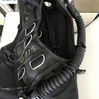 Bismビーイズム　ネレウスBCバージョンJの優れた点（推せるBC）