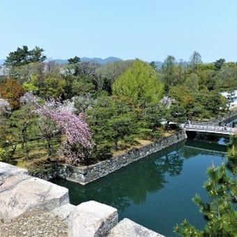 二条城と平野神社