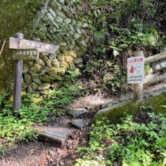 金剛山　天ヶ滝新道